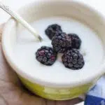 iogurte caseiro