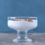Iogurte caseiro sem lactose