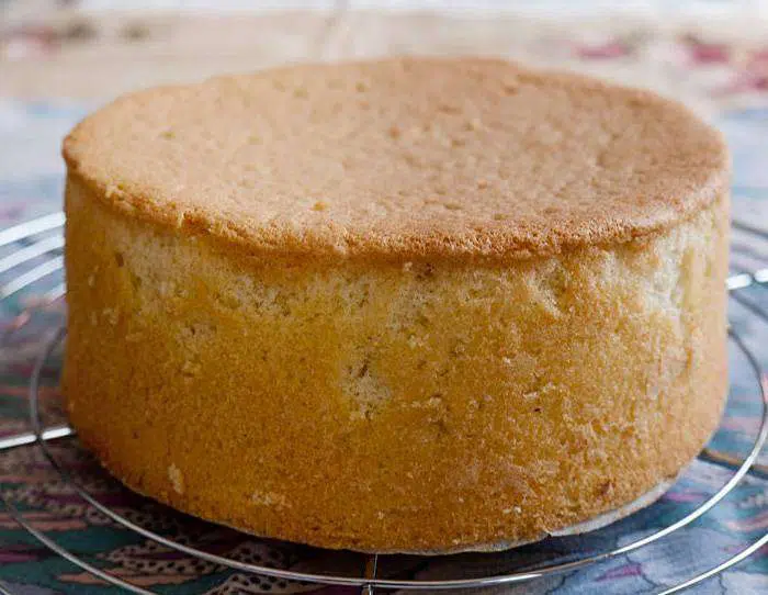 Pão de Ló para celíacos